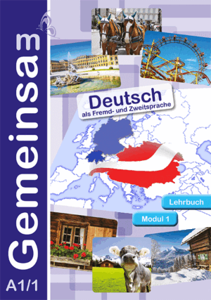 Lehrbuch Modul 1