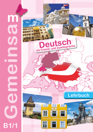 Lehrbuch B1/1
